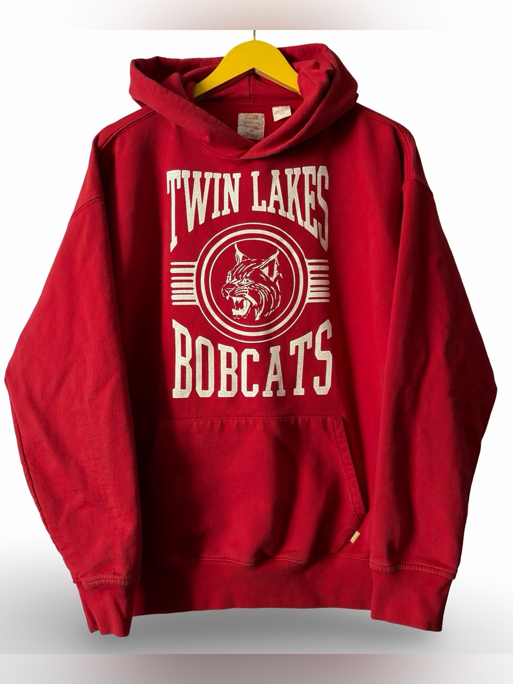 American Eagle 2000s Athletics Graphic Hoodie Medium